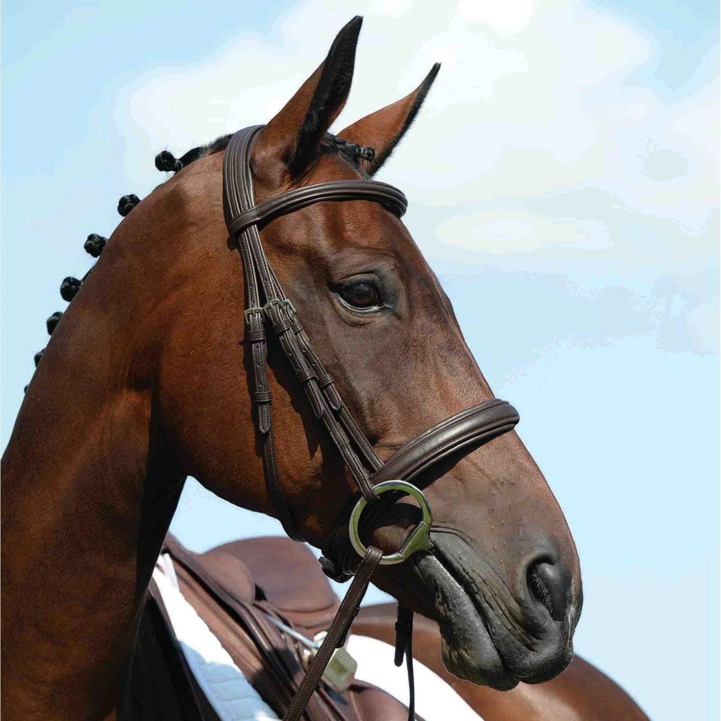 Collegiate Syntovia Plus Padded Raised Cavesson Bridle With Reins