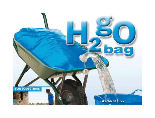 H2go Bag Easy Water Transport