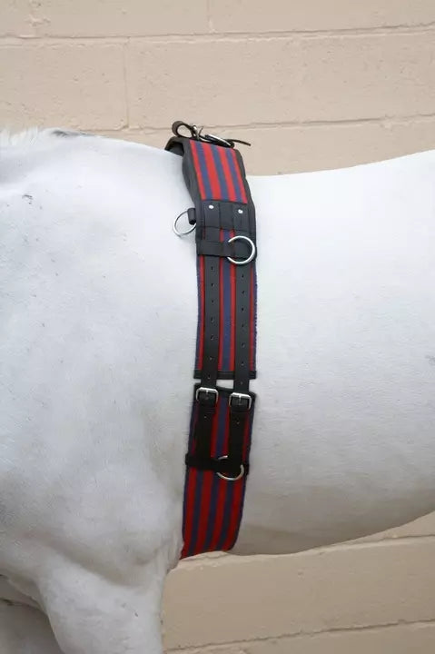 Hy Equestrian Training Roller Size Full Blue /Red